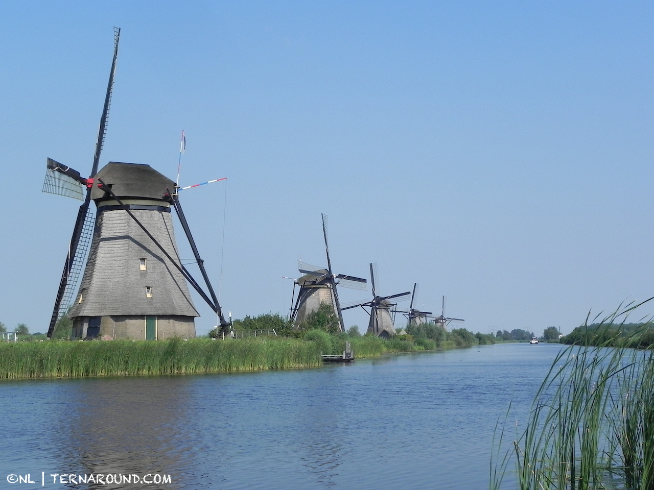Windmills from the 1600's in Kinderdijk