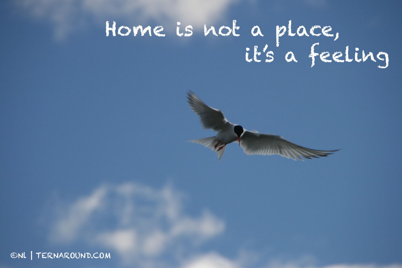 Home is not a place, it's a feeling