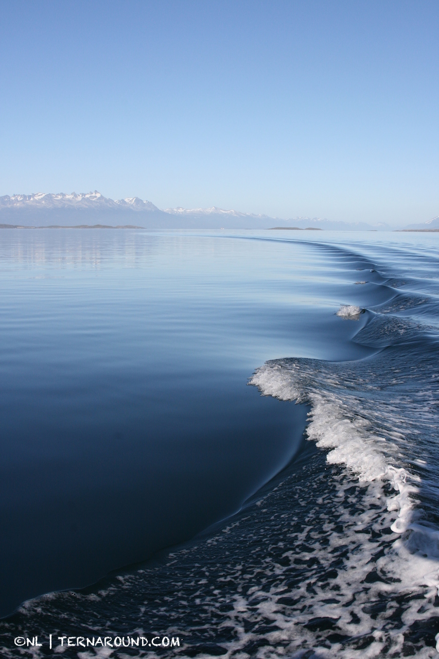 The tranquility of a serene wave on a cloudless Ushuaia day